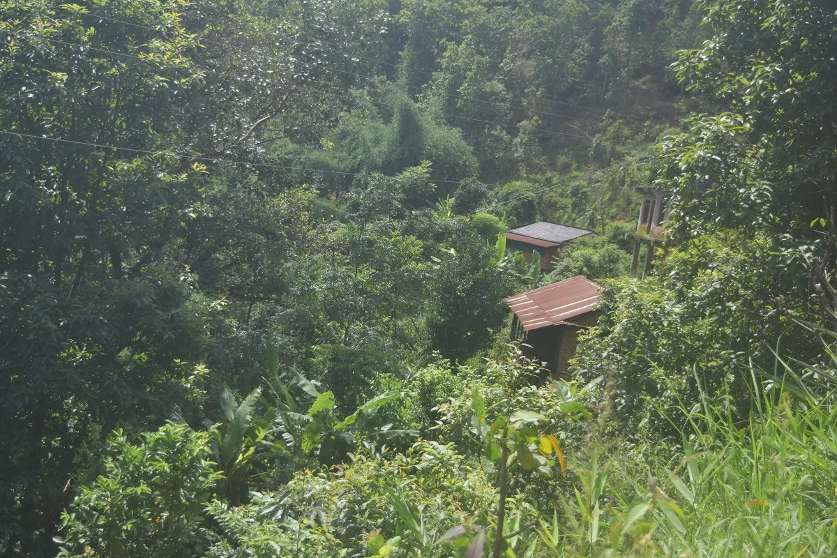 पहिरोको त्रासले रित्तियो बागलुङको एउटा गाउँ