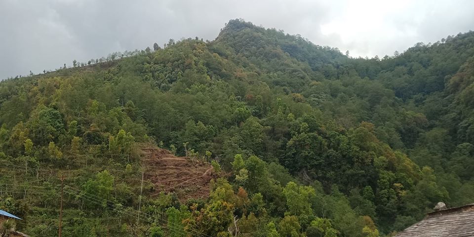 लकडाउनको सदुपयोग : गुल्मी मुसिकोटमा पिकनिक स्थल बन्दै