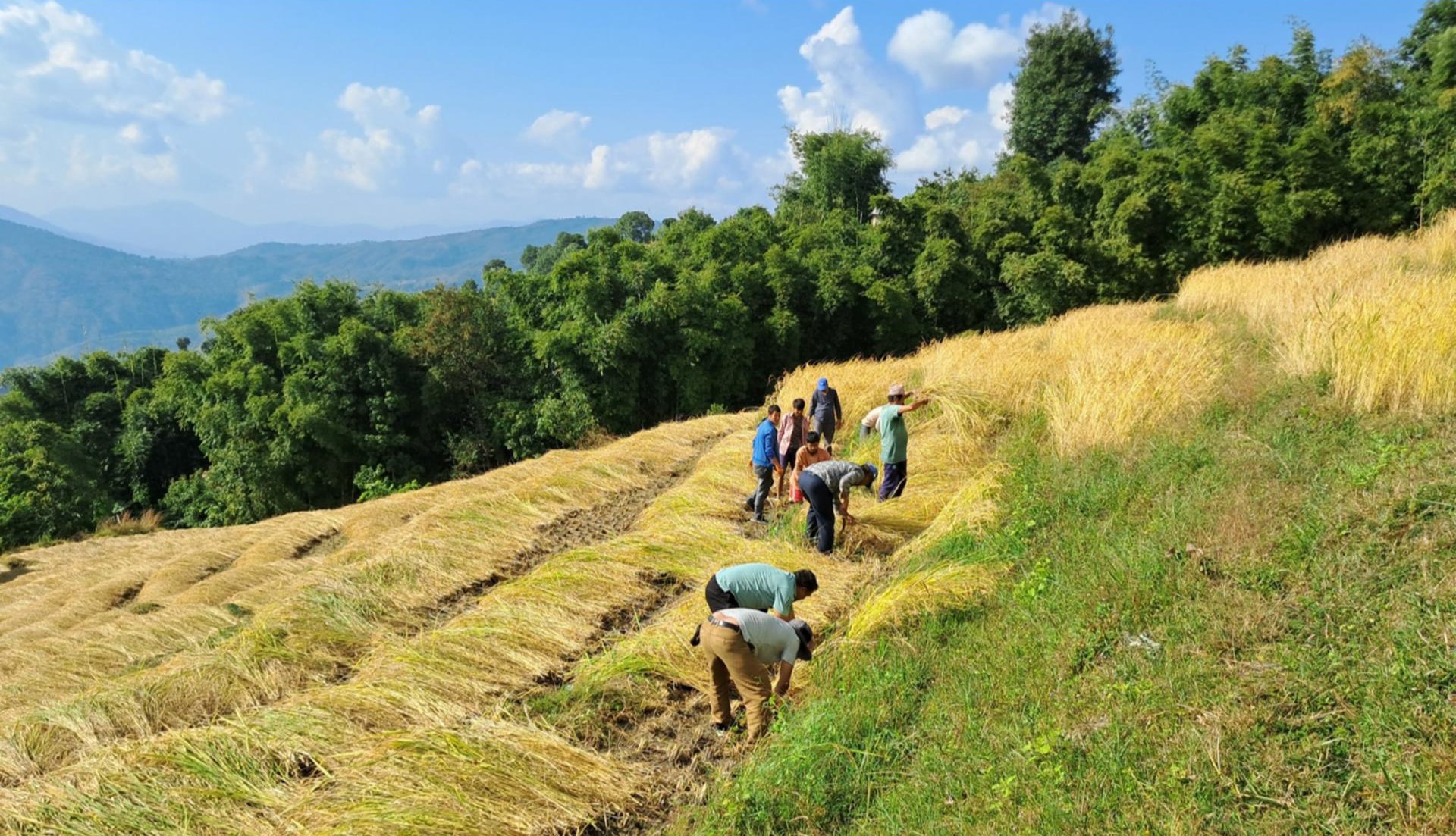 नेपालको आर्थिक वृद्धिदर ३.४ प्रतिशतमा सीमित
