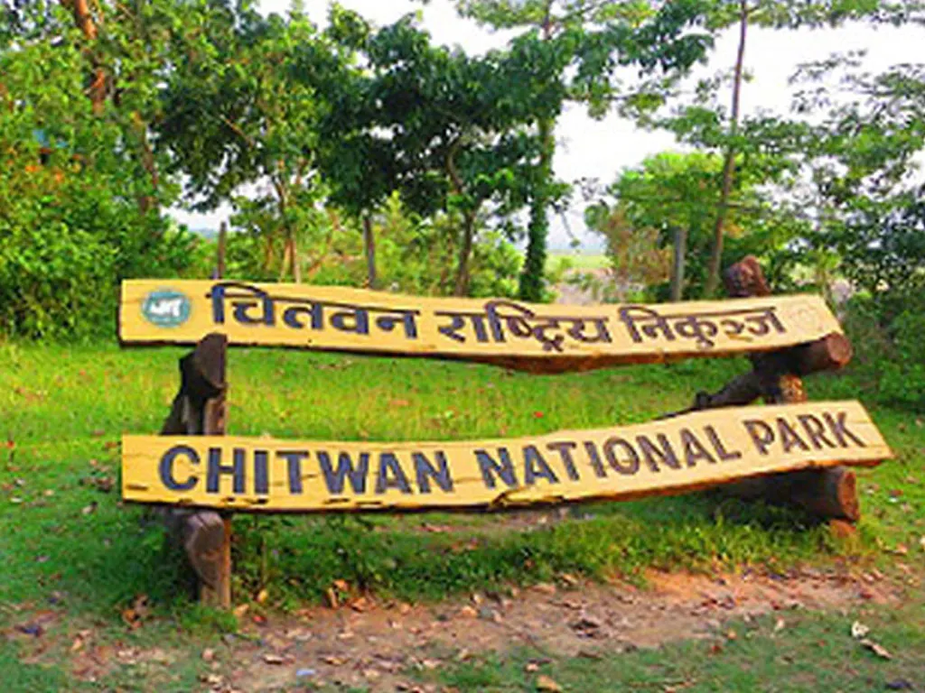 चितवन राष्ट्रिय निकुञ्जमा आजदेखि आन्तरिक गैँडा स्थानान्तरण