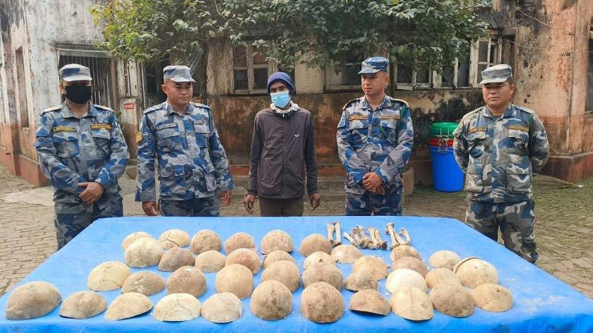 विराटनगरको रानीबाट ३८ वटा मानव कंकालसहित एक जना पक्राउ