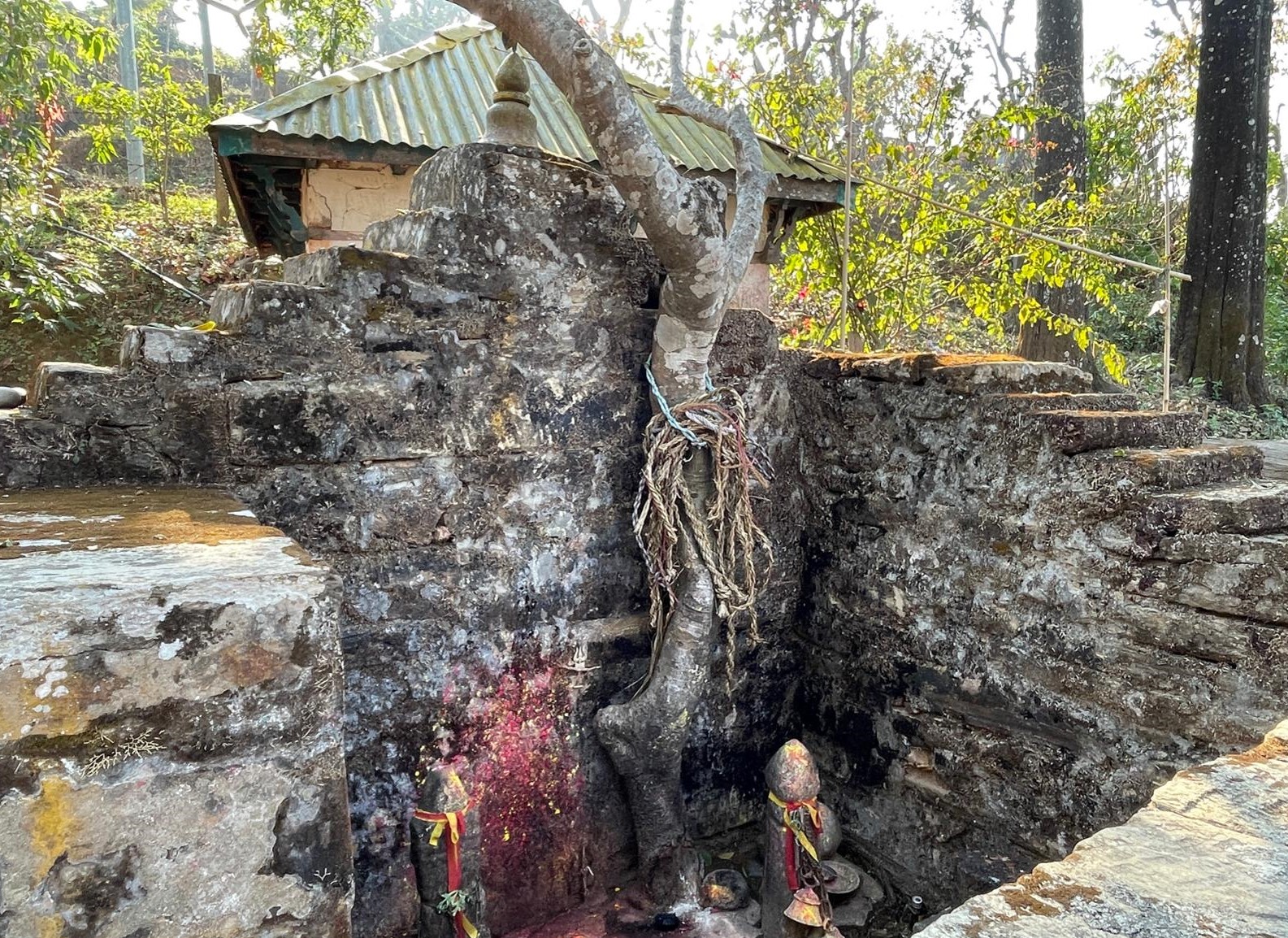 जहाँ देवीलाई चढाइन्छ दाम्लो