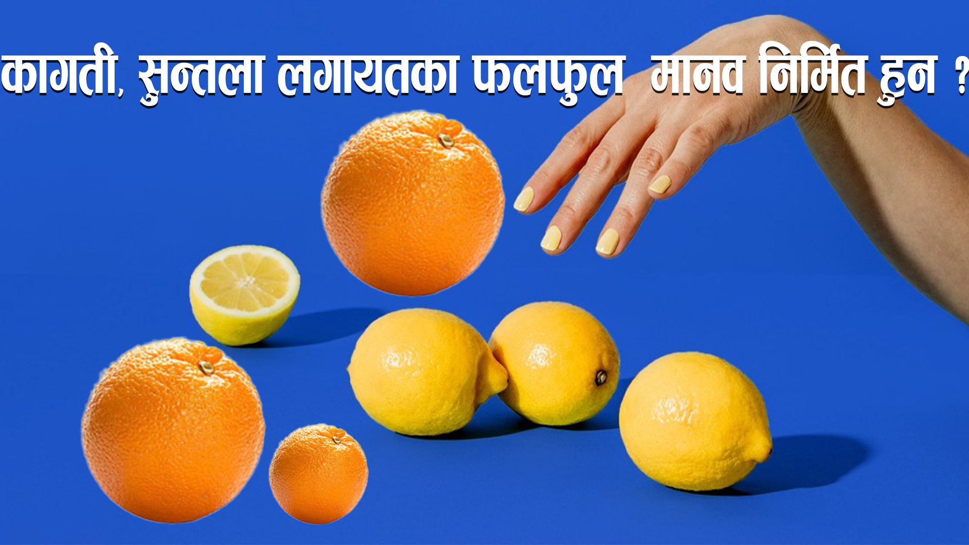लोकप्रिय फलफुल कागती, सुन्तला मानव निर्मित हुन् |