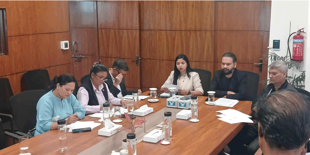 काठमाडौं महानगरपालिकाले २५ अर्बको बजेट ल्याउने