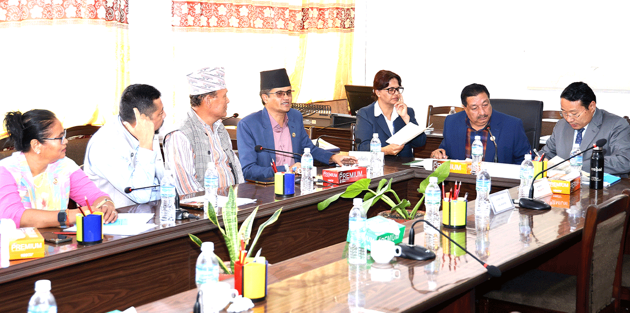 अर्थ समिति सभापति भन्छन्– पैसा खाएकालाई तिराउने हो, थुनेर हुँदैन