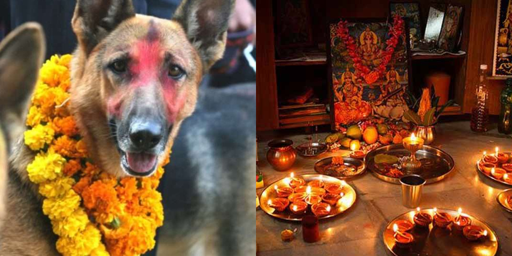 तिहारको तेस्रो दिन : आज बिहान कुकुर तिहार, राति लक्ष्मीपूजा