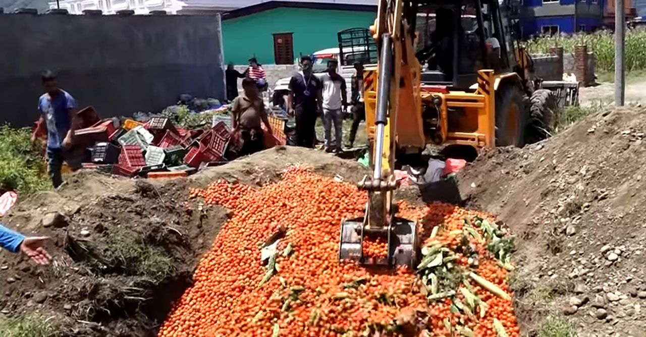 स्वदेशको तरकारी नष्ट गर्दै भारतबाट आएको तरकारी प्रयोग !