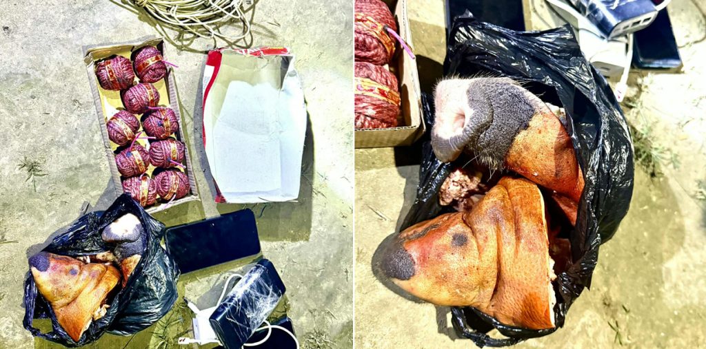 वीरगन्जमा विस्फोटक पदार्थ र सुँगुरको टाउकोसहित ३ जना पक्राउ