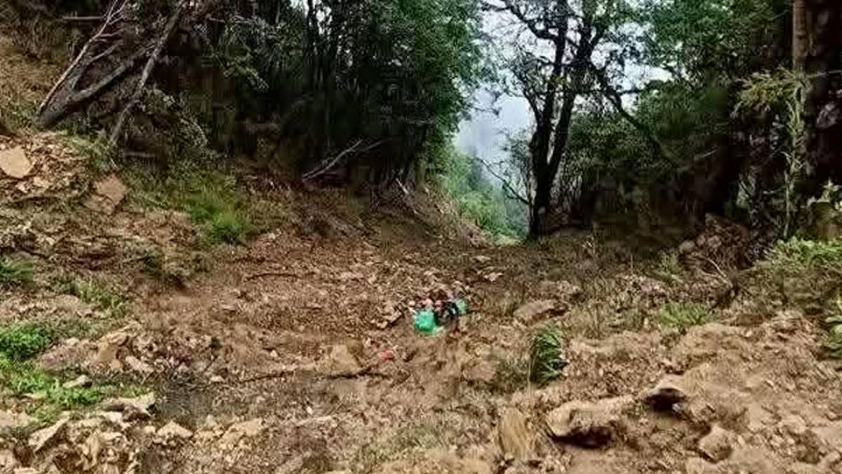 रोल्पामा जिप दुर्घटना, १७ जनाको मृत्यु
