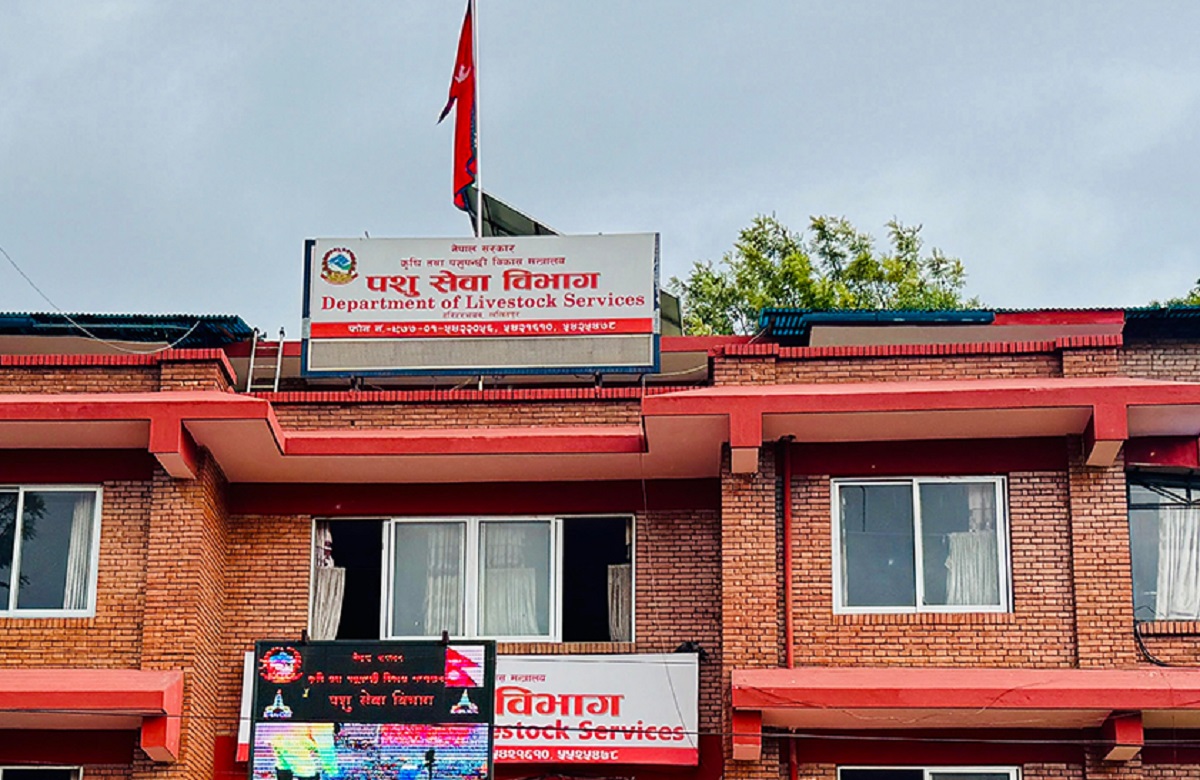 बर्डफ्लु सङ्क्रमित पन्छी बिक्री नगर्न विभागको निर्देशन, उल्लङ्घन गरे कारबाही हुने