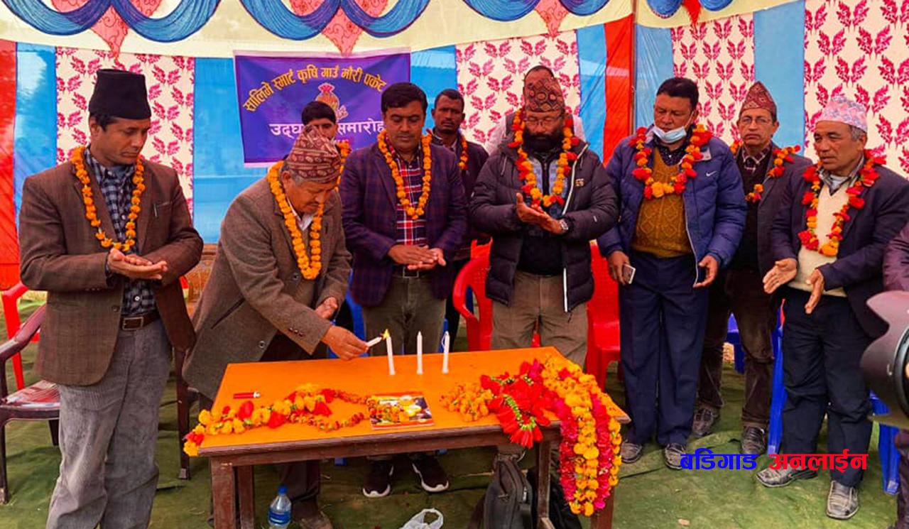 मुसिकोट ८ र ९ मा सालिमे स्मार्ट कृषि गाउँ मौरी पकेट क्षेत्रको उद्धघाटन !