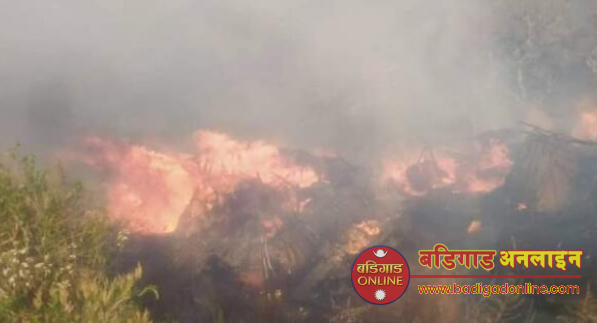 गुल्मीमा आगलागीमा परी ९ वर्षिया बालिकाको मृ’त्यु