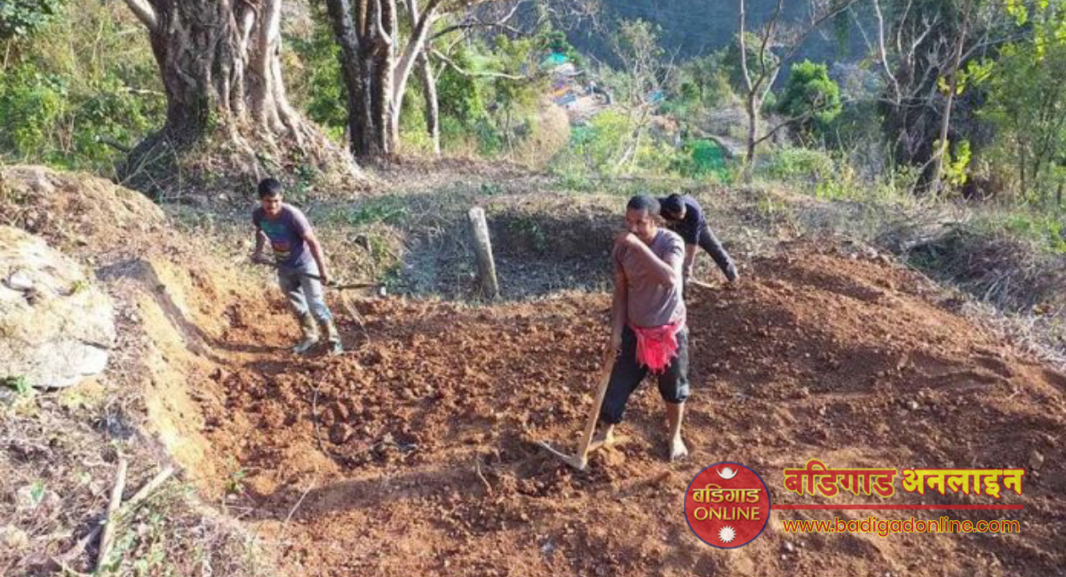 मुसिकोटमा देउसी भैलो खेलेर जम्मा गरेको रकमले पौवा निर्माण